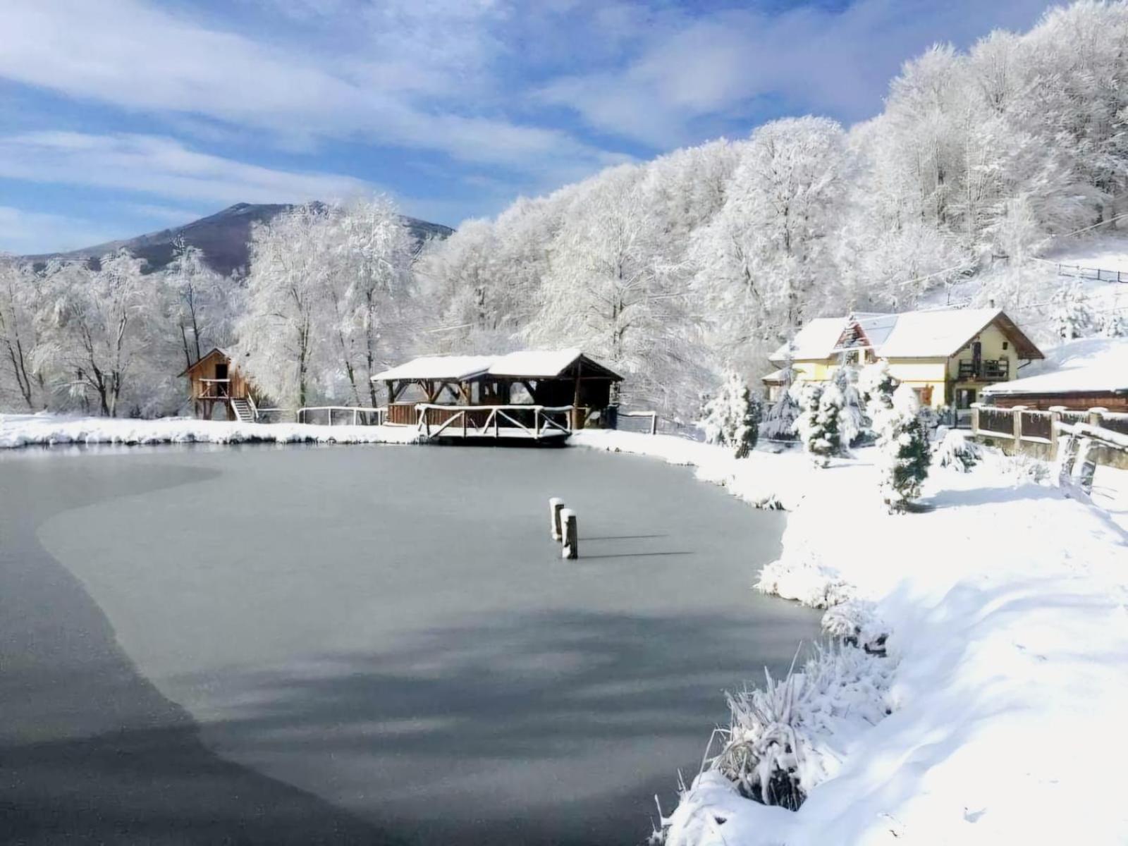 Pensiunea Cerbul - Valea Dobarlaului Экстерьер фото