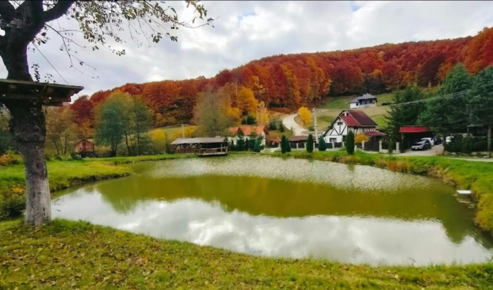 Pensiunea Cerbul - Valea Dobarlaului Экстерьер фото