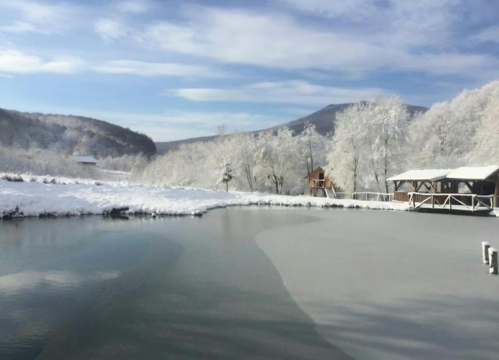 Pensiunea Cerbul - Valea Dobarlaului Экстерьер фото